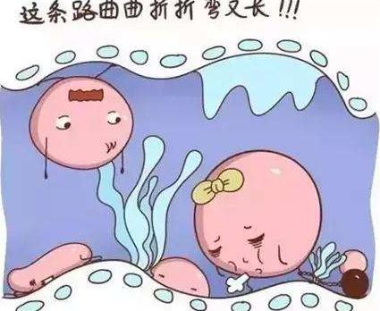 苏州东吴不孕不育医院怎么样_输卵管肿瘤发病原因有哪些