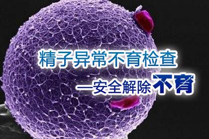 男性精液检查的影响质量因素