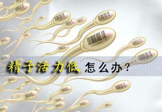 苏州治疗死精哪家医院好